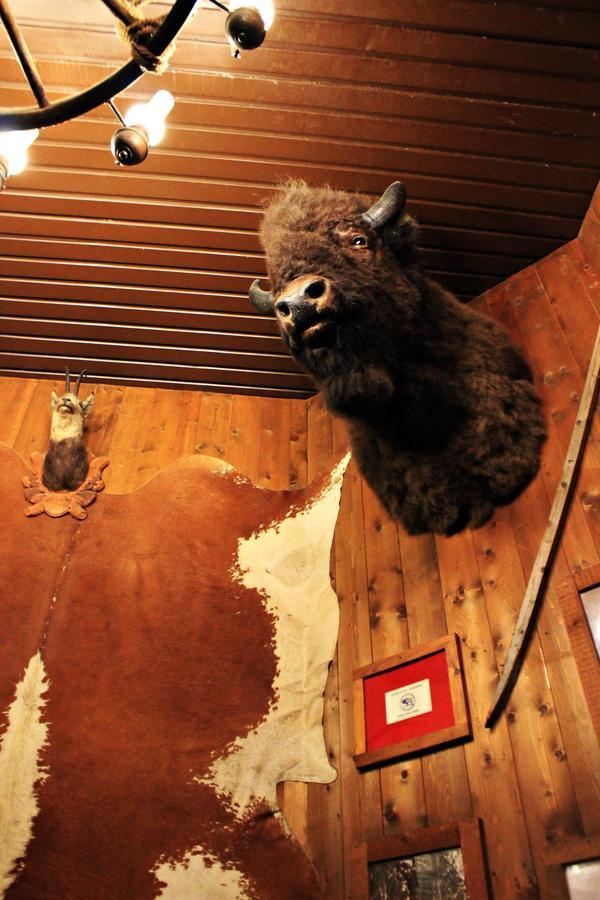 Hotel Cowboys Guest Ranch Voghera Exteriér fotografie